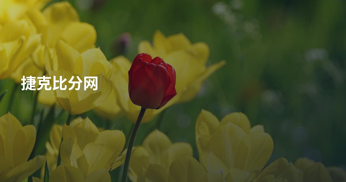 捷克比分网