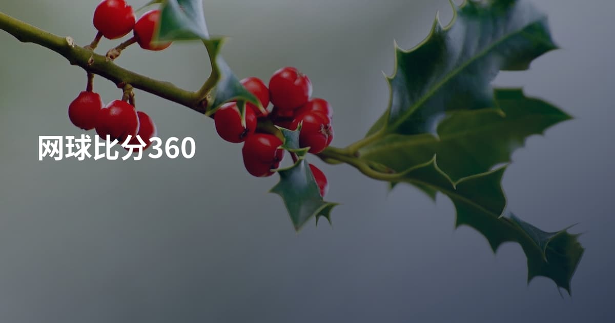 网球比分360