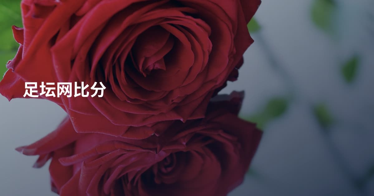 足坛网比分