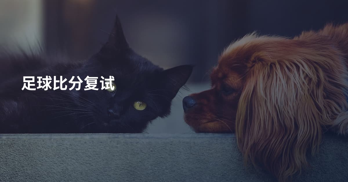 足球比分复试