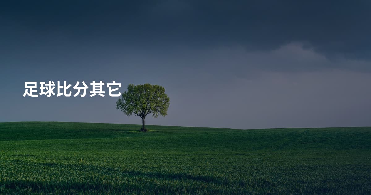 足球比分其它