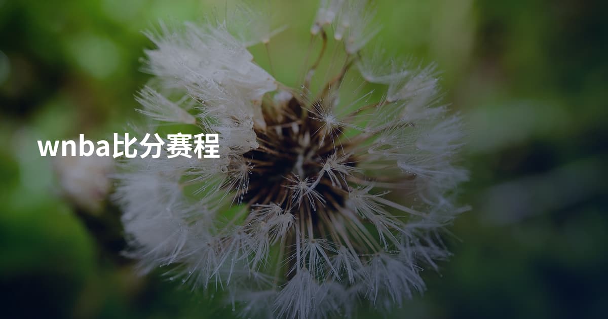 wnba比分赛程