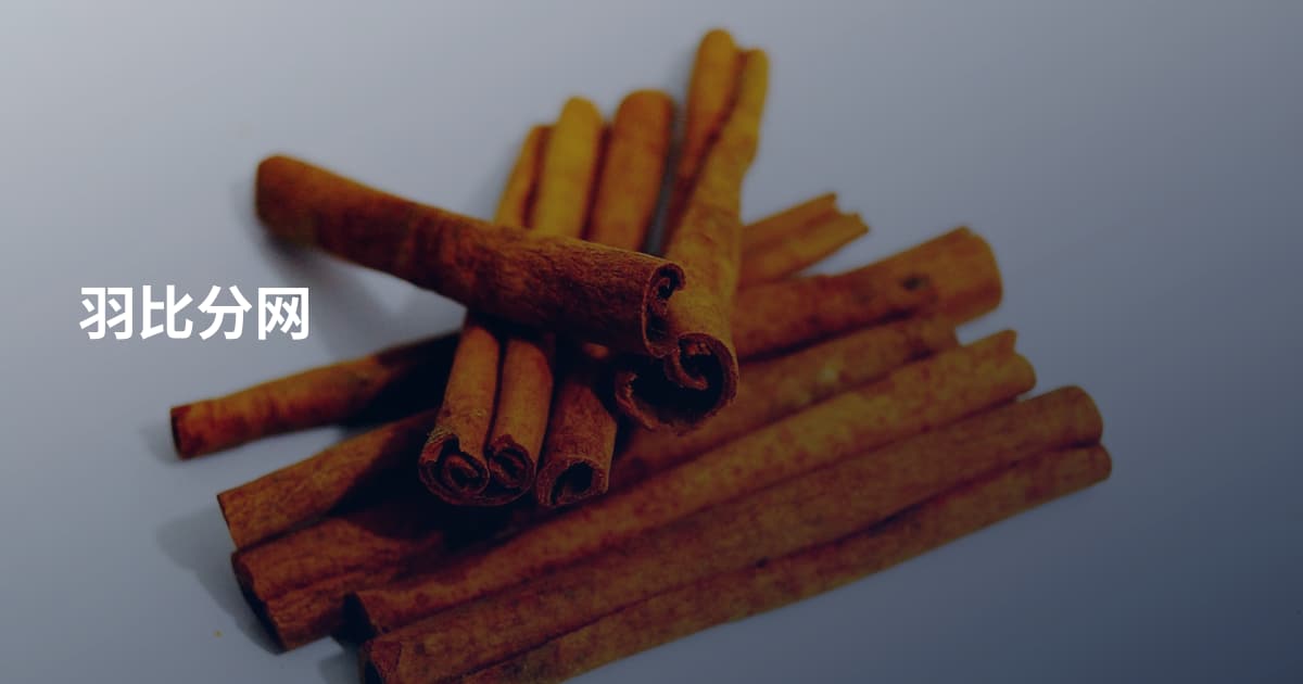 羽比分网
