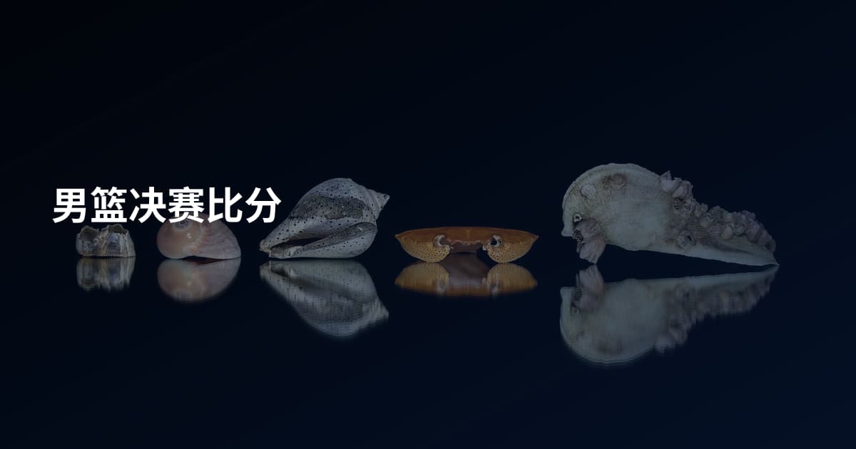 男篮决赛比分