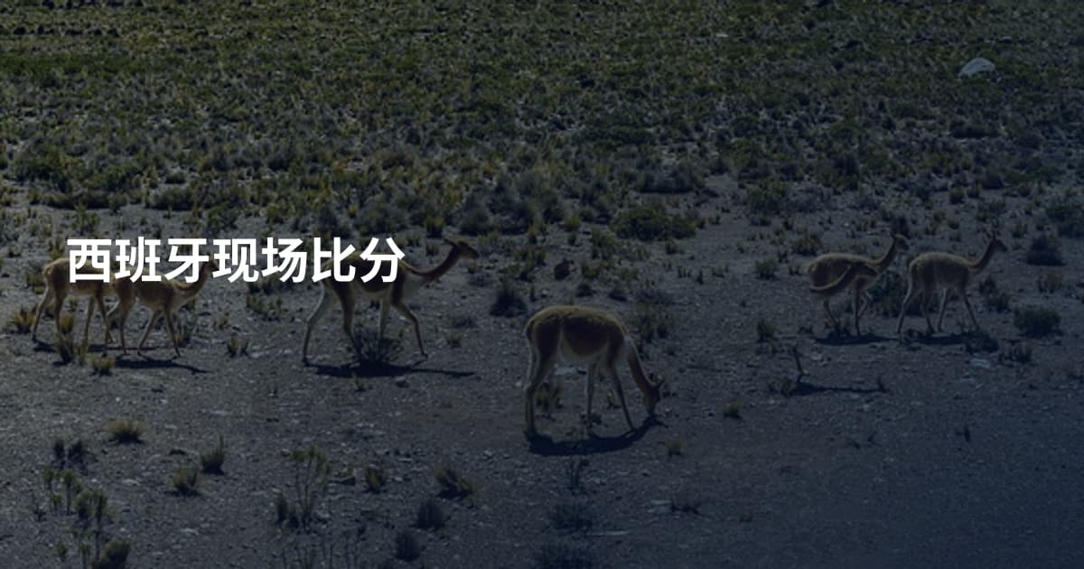 西班牙现场比分