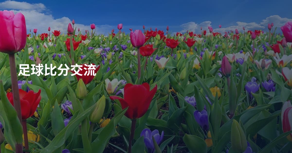 足球比分交流
