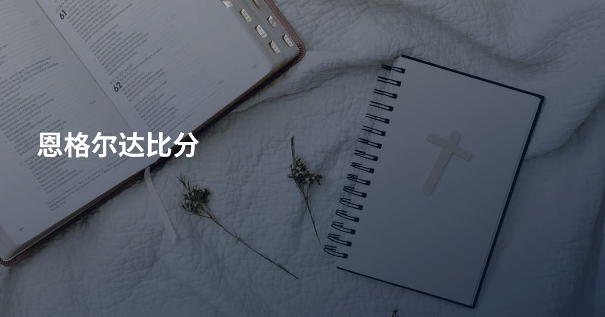 恩格尔达比分