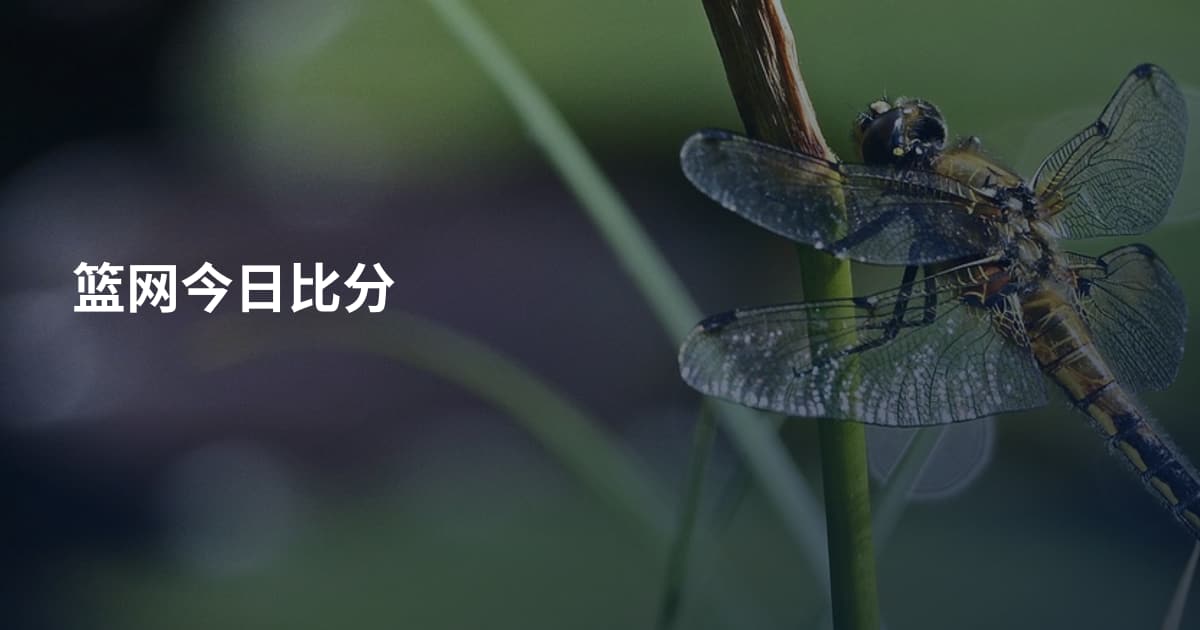 篮网今日比分