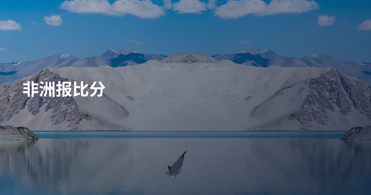 非洲报比分