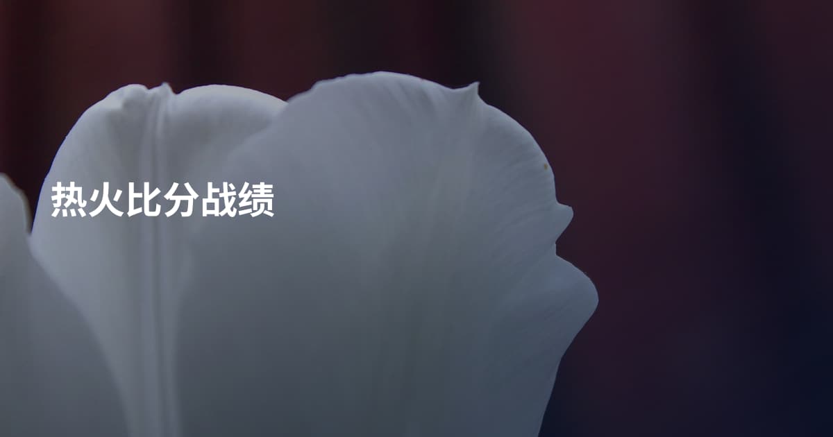 热火比分战绩