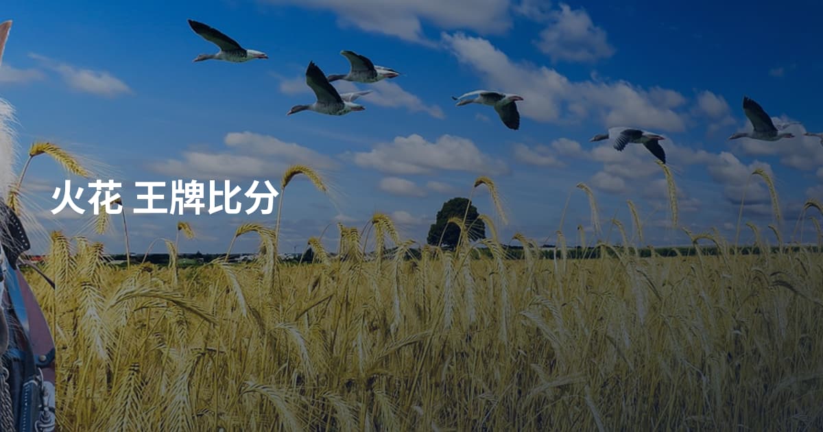 火花 王牌比分