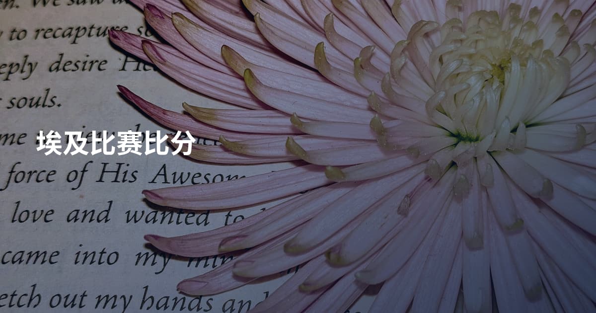 埃及比赛比分
