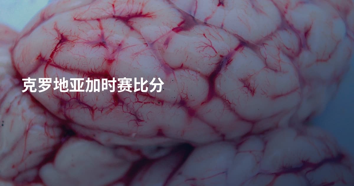 克罗地亚加时赛比分