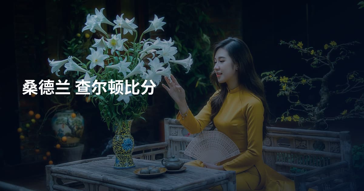 桑德兰 查尔顿比分