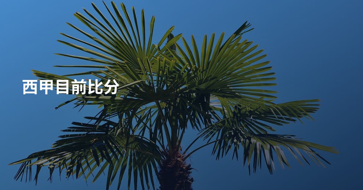 西甲目前比分