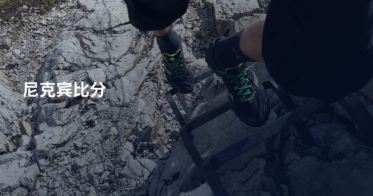 尼克宾比分