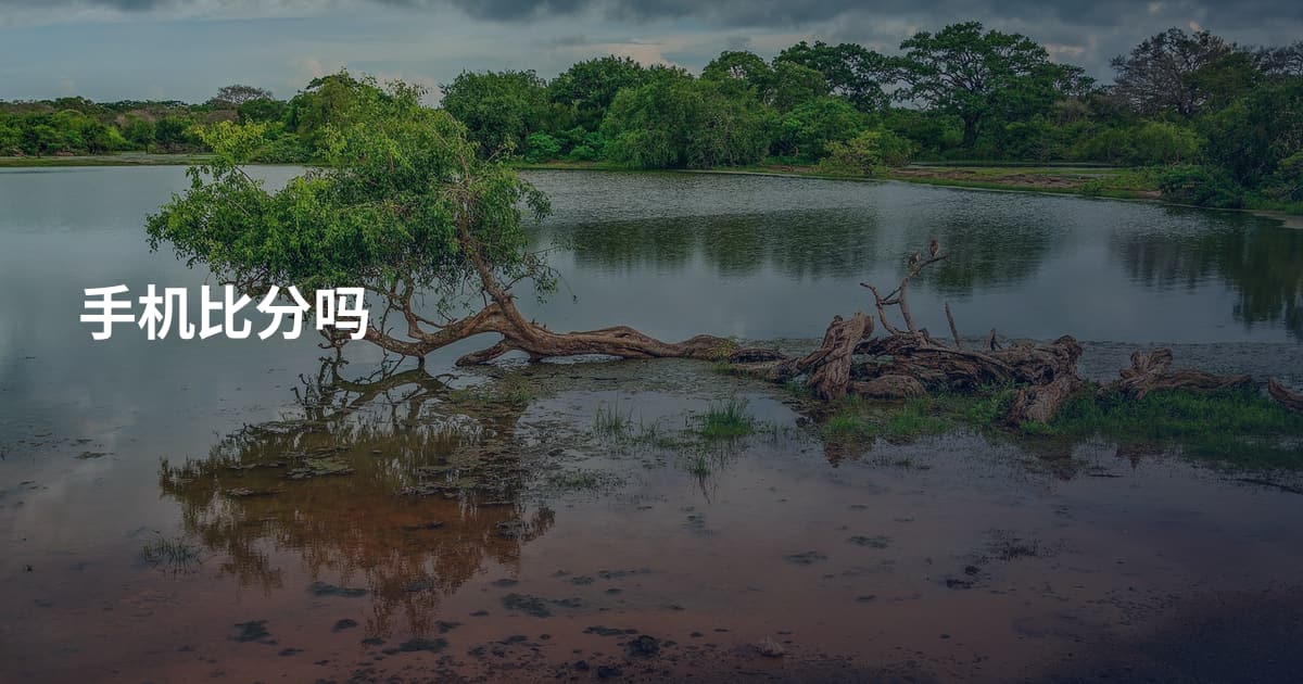 手机比分吗