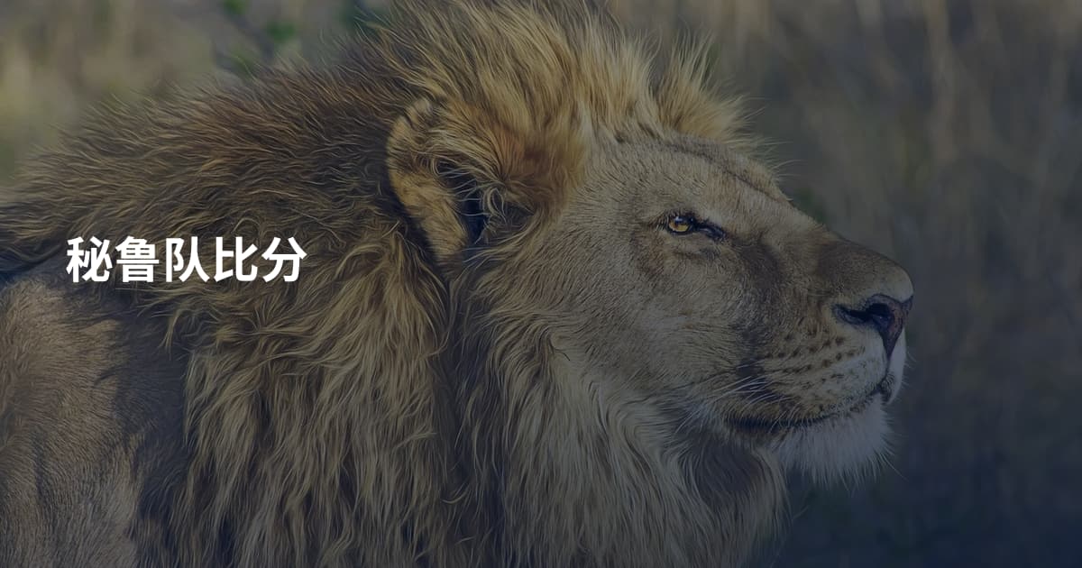 秘鲁队比分