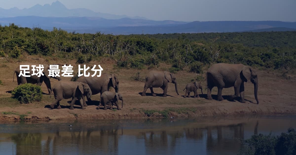 足球 最差 比分