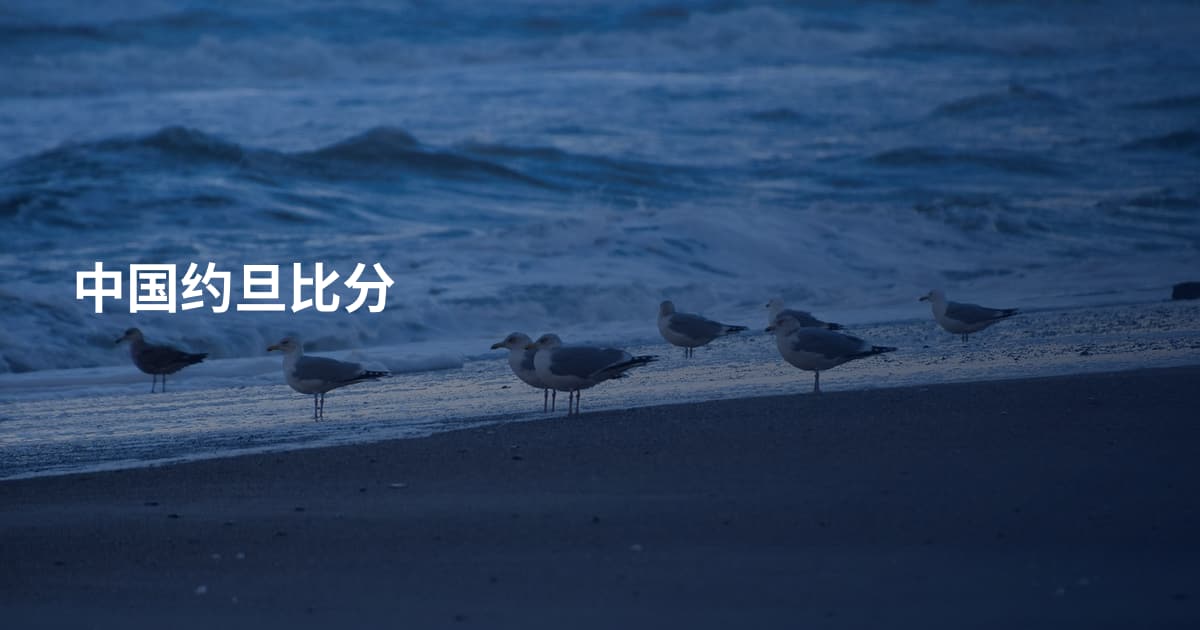 中国约旦比分