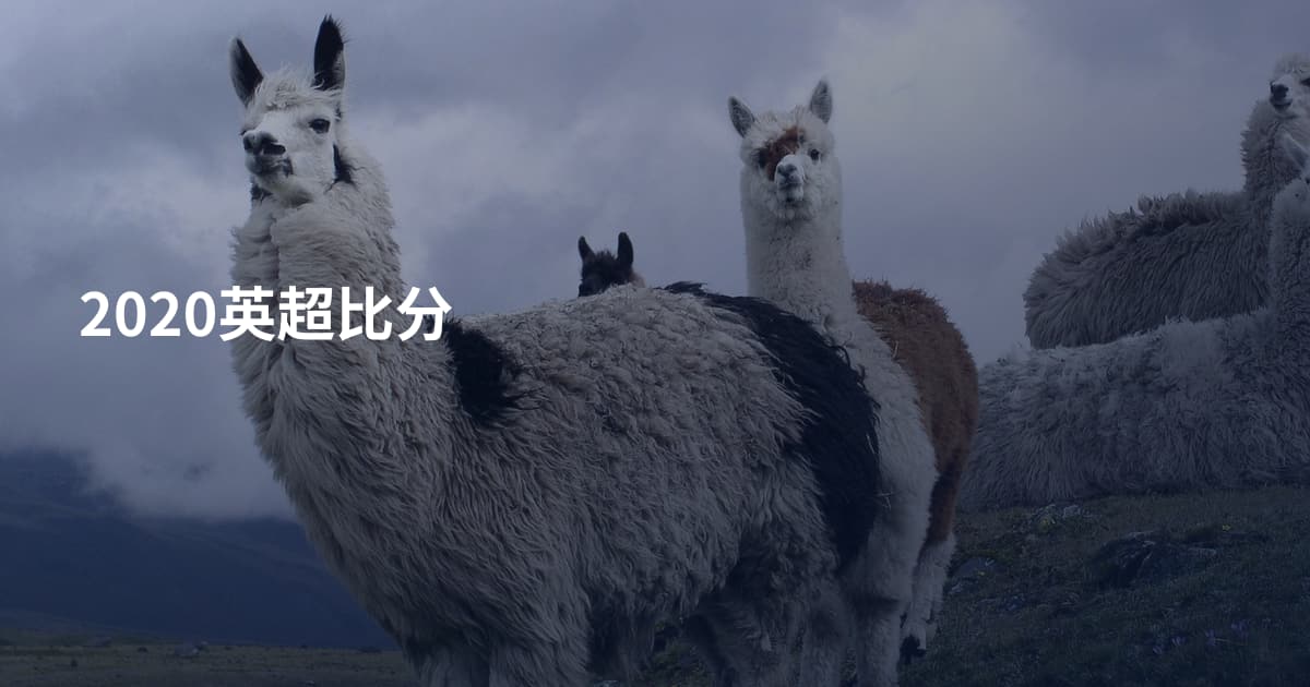 2020英超比分