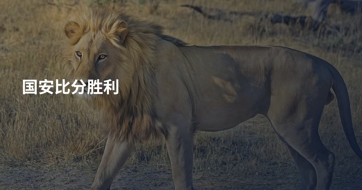 国安比分胜利