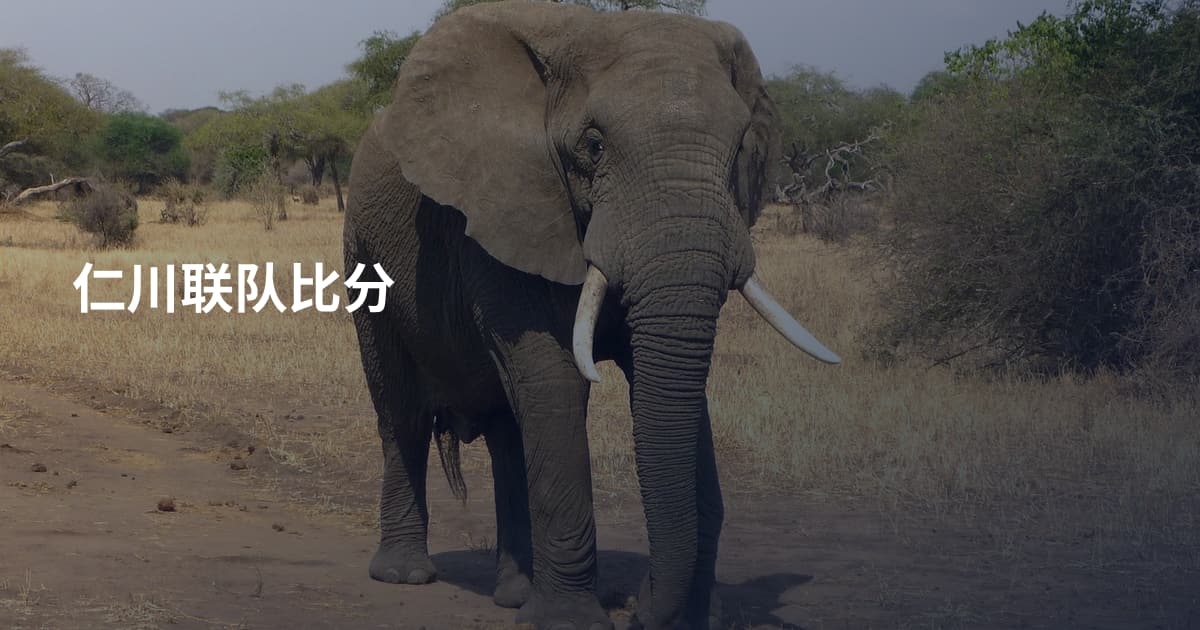 仁川联队比分