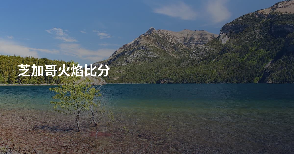 芝加哥火焰比分
