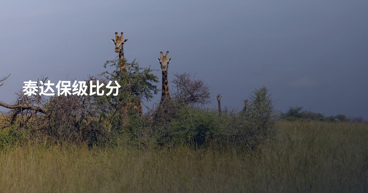 泰达保级比分