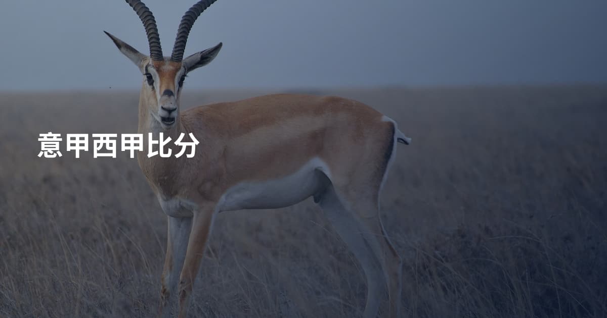 意甲西甲比分