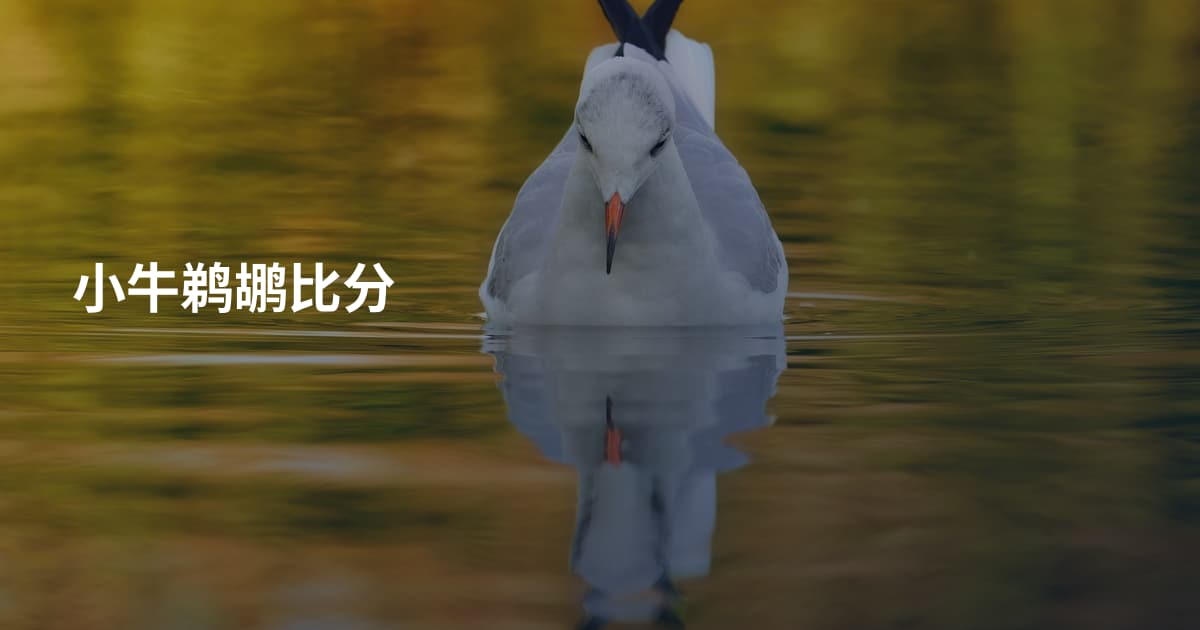 小牛鹈鹕比分