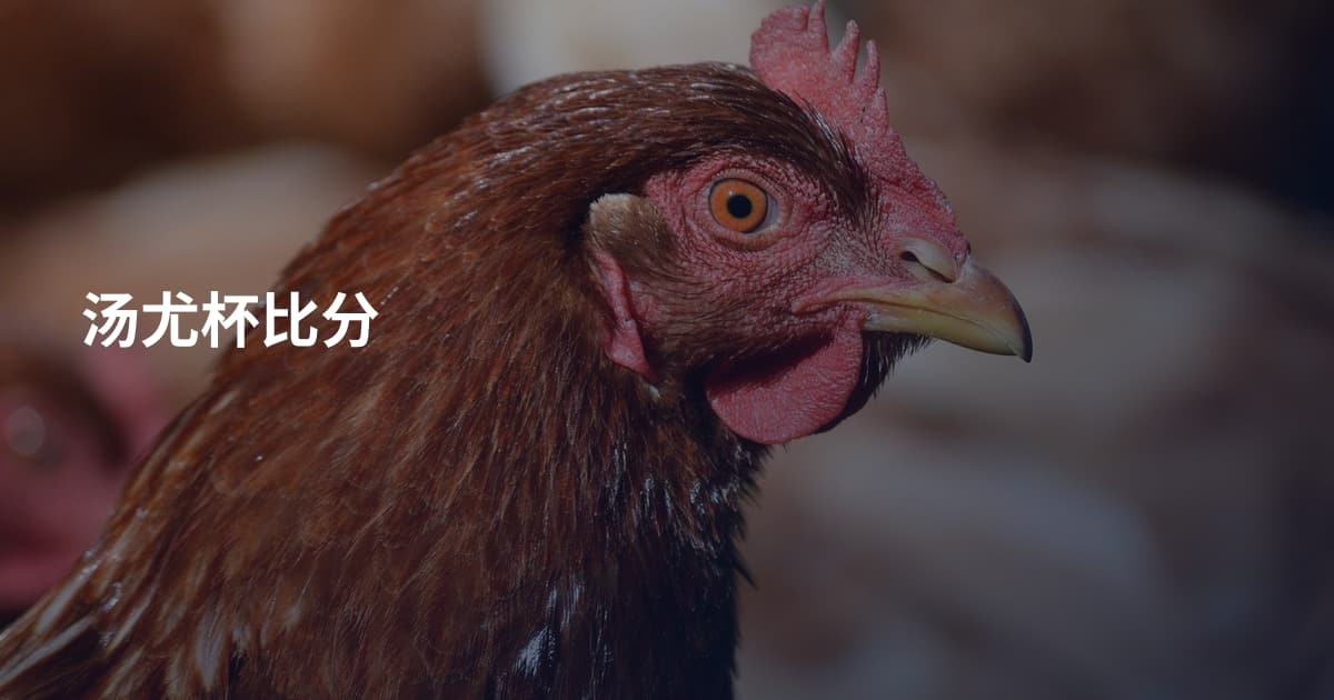 汤尤杯比分