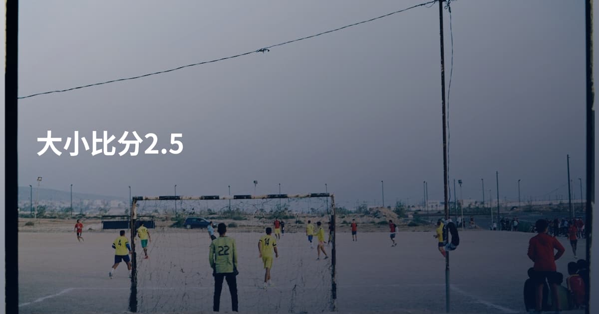 大小比分2.5