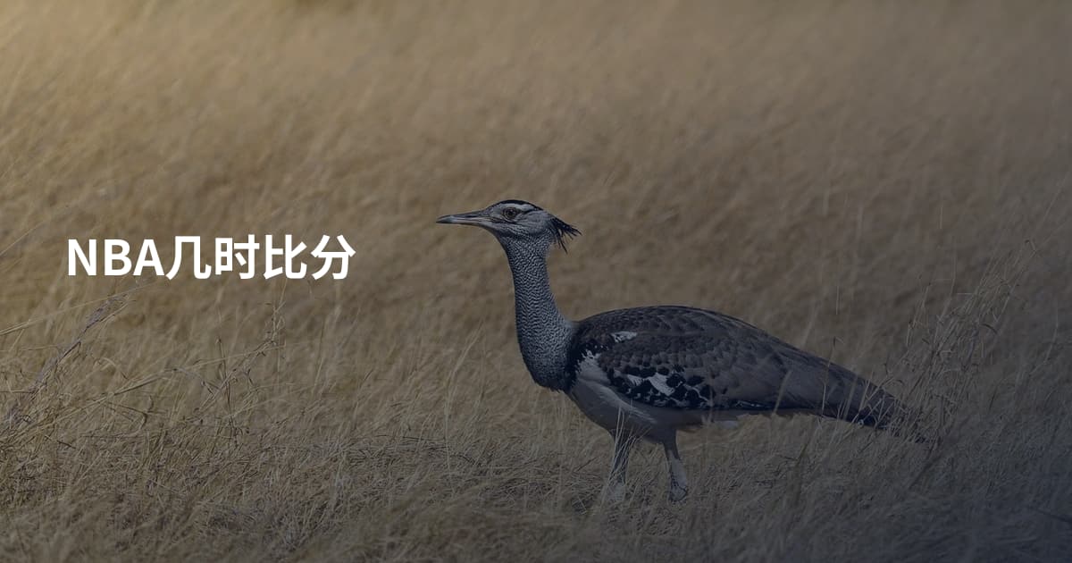 NBA几时比分