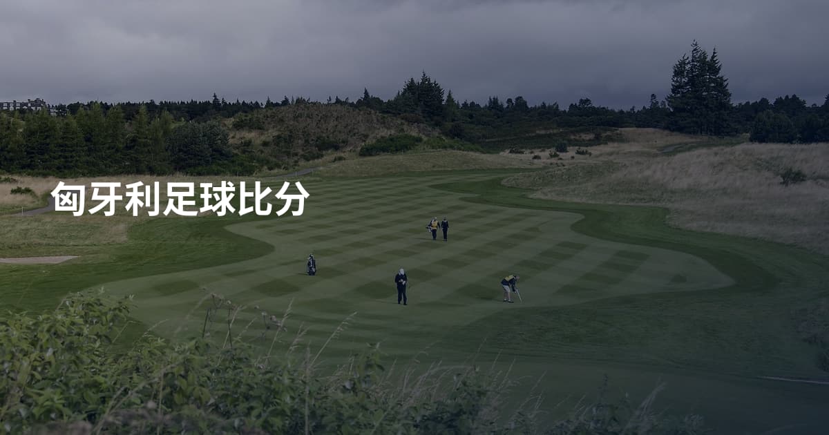 匈牙利足球比分