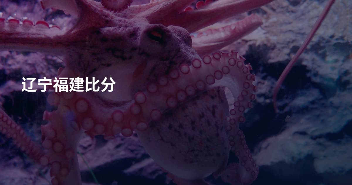 辽宁福建比分