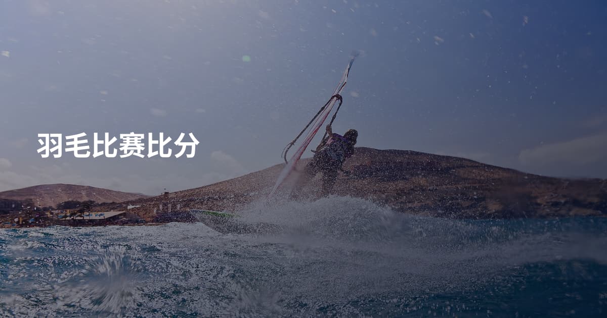 羽毛比赛比分