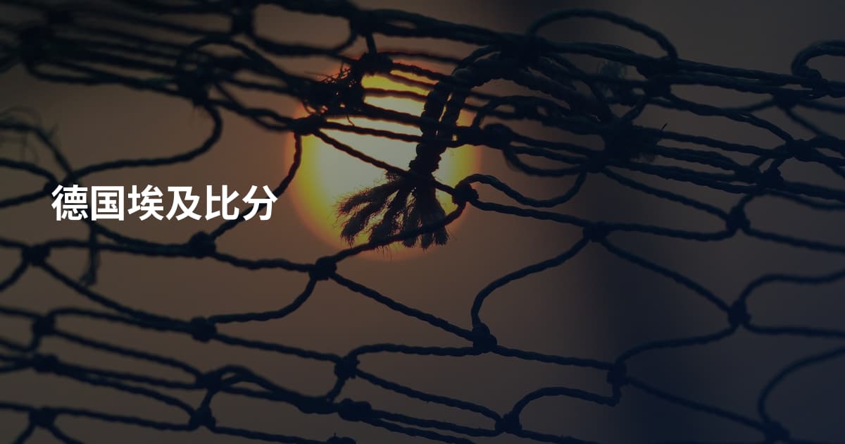 德国埃及比分