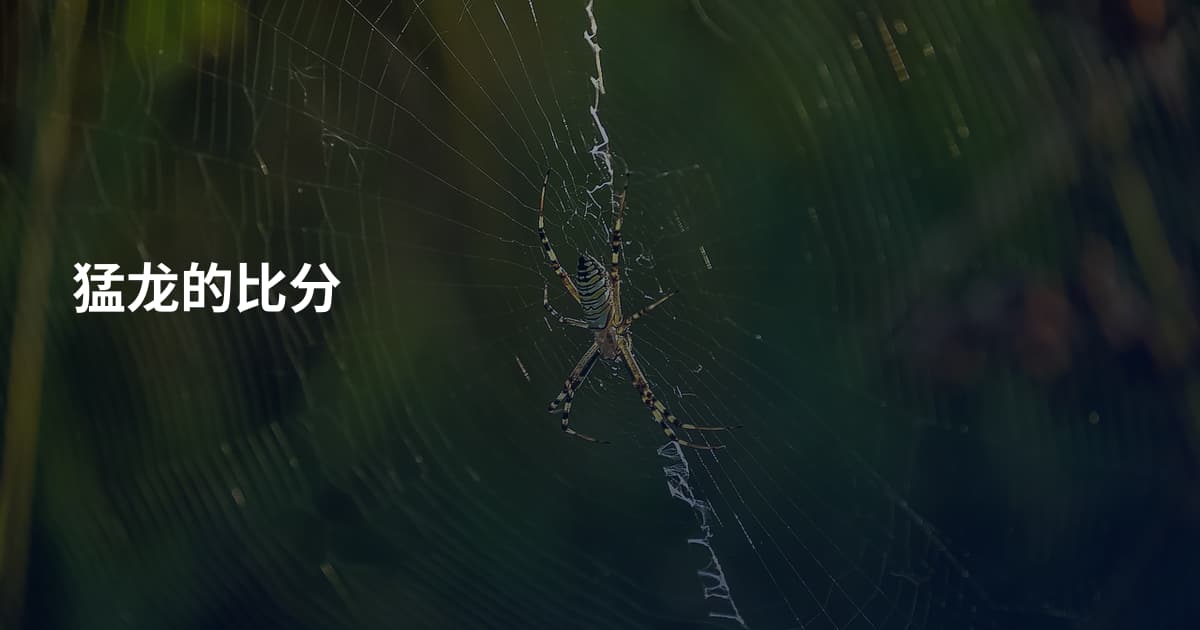猛龙的比分