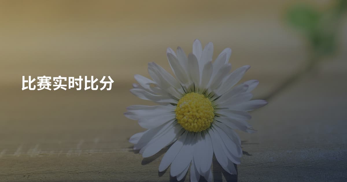 比赛实时比分