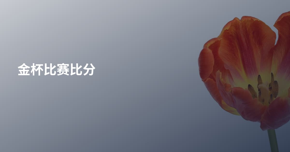 金杯比赛比分