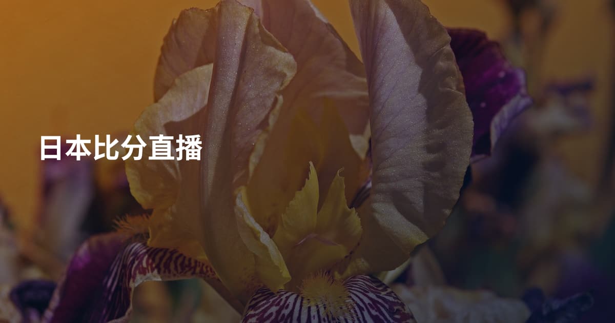 日本比分直播
