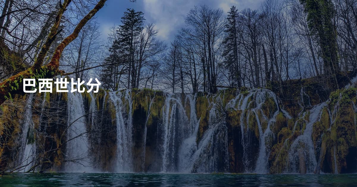 巴西世比分