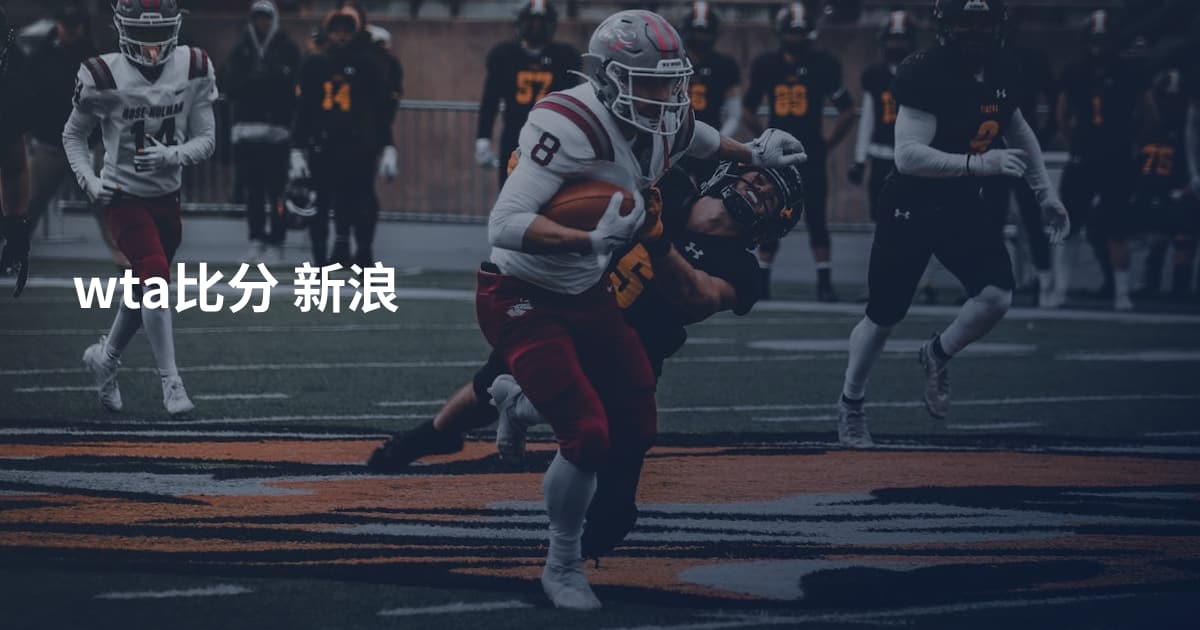 wta比分 新浪