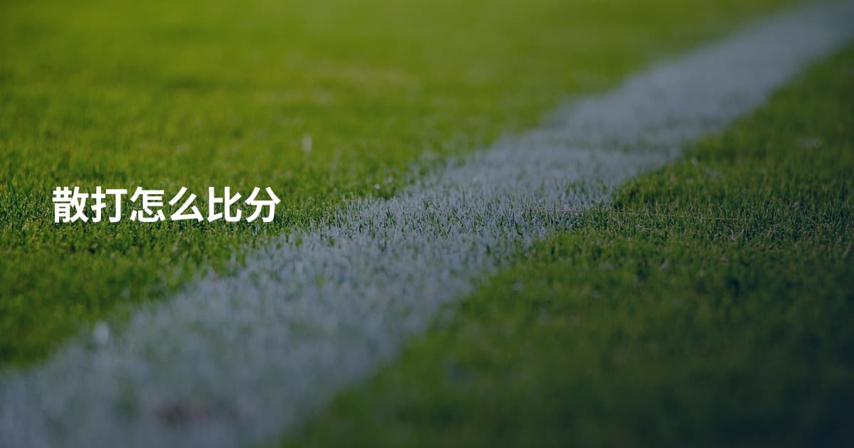散打怎么比分