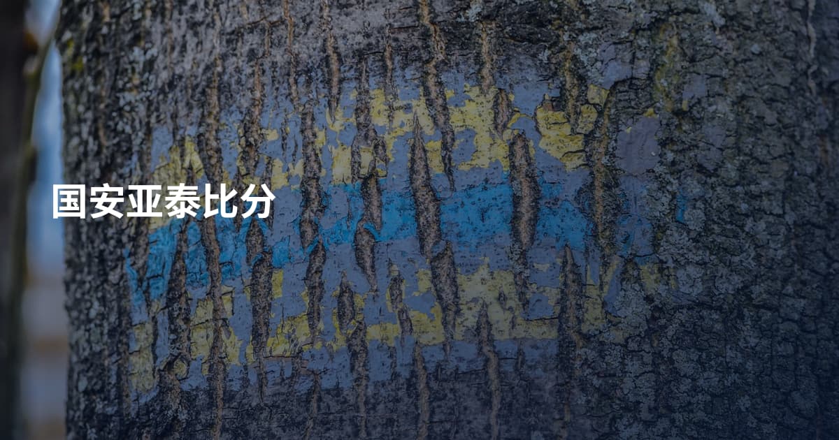 国安亚泰比分