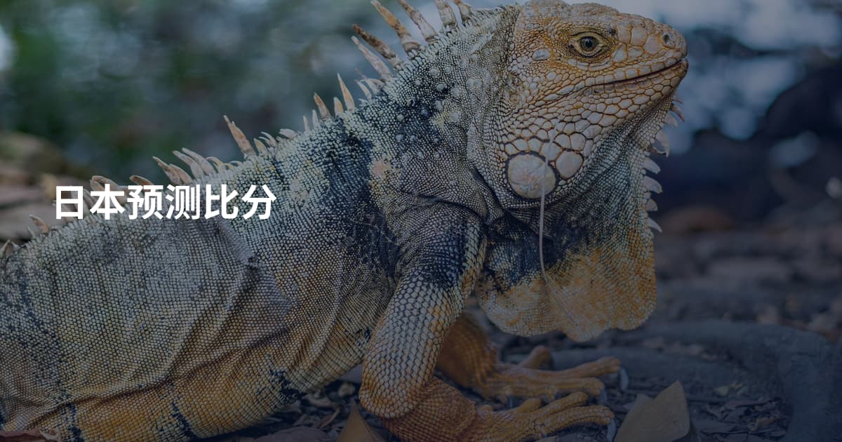 日本预测比分