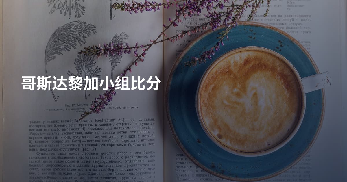 哥斯达黎加小组比分