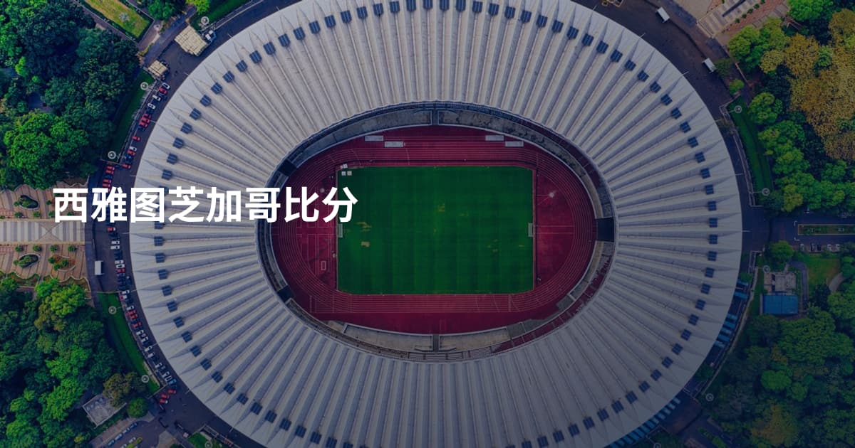 西雅图芝加哥比分