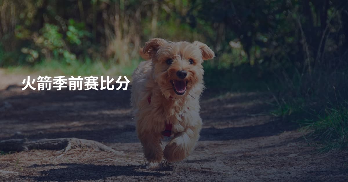 火箭季前赛比分